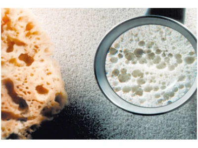 Новый наполнитель Bultex®plus
