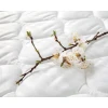 Fiore Primavera Пружинный матрас 
